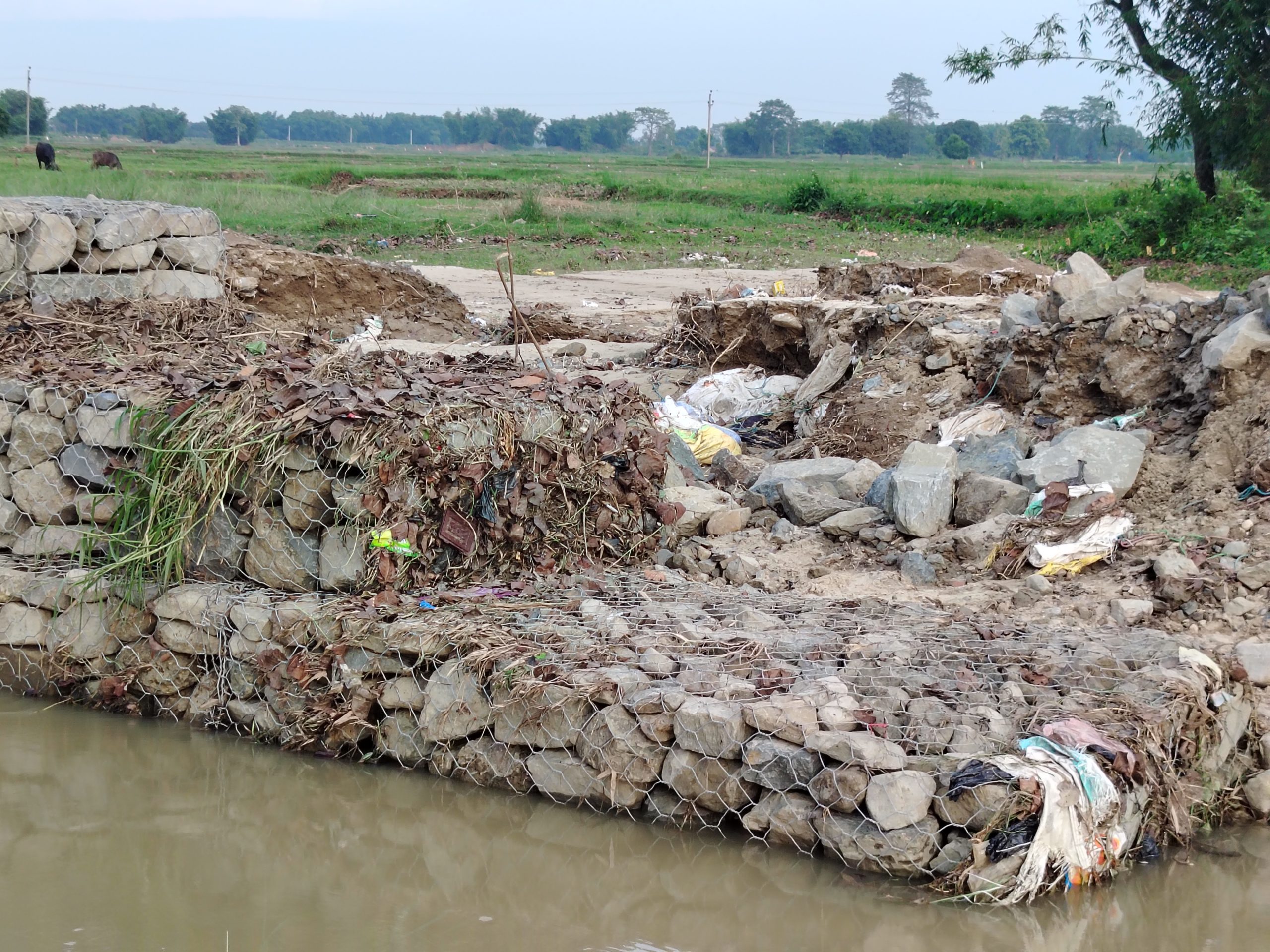 ४६ लाखको क्रेटिङ्ग सामान्य बाढीले बगायो : किसान संकटमा, पत्रकार धम्कीमा, नियमन निकाय मौन